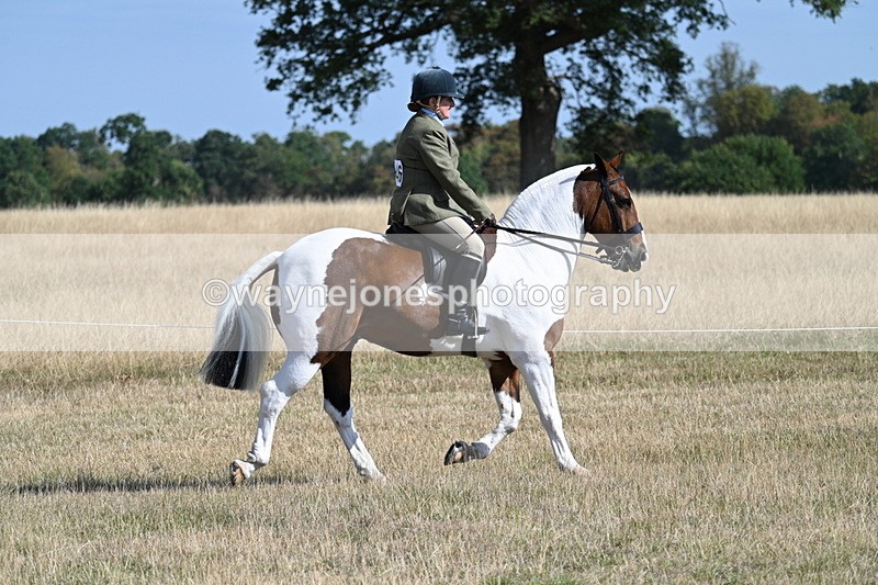 WJ7_2809 - Class 8 Ridden Tack & Turnout