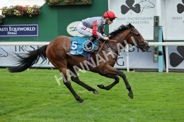 yr04092022r1-32 - Race 1 1.45pm IRE Incentive, It Pays To Buy Irish EBF Novice Stakes