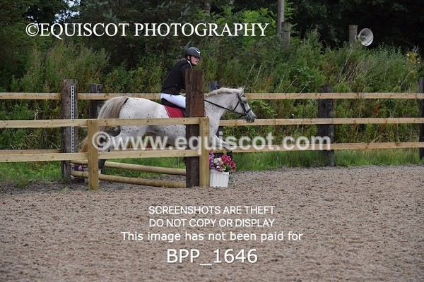 BPP_1646 - DERBY CLASS 4 - 50CM