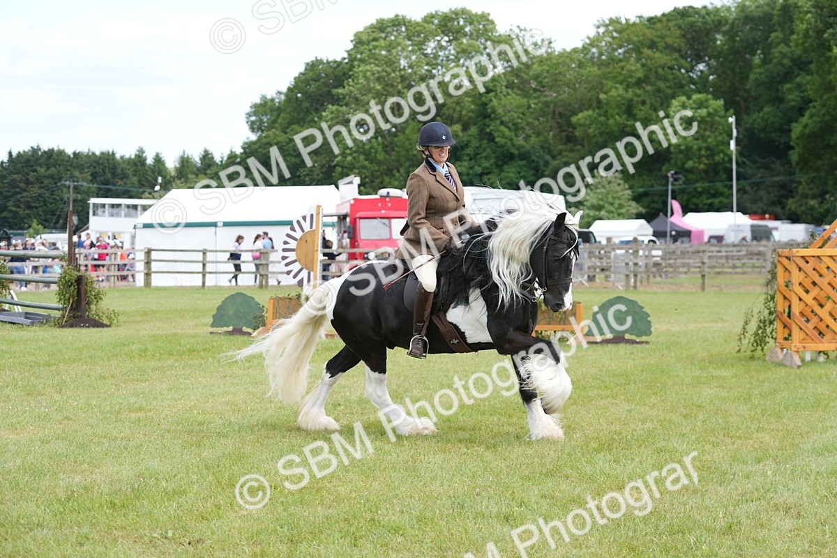 SBM_17282 - Class 107-108 - LIHS BSPS Performance Coloured Horse Pony