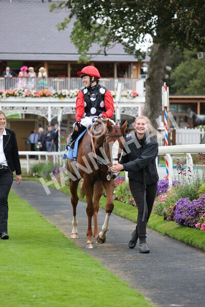 yr24092021r6-38 - Race 6 4.25pm William Hill Pick Your Places Stakes