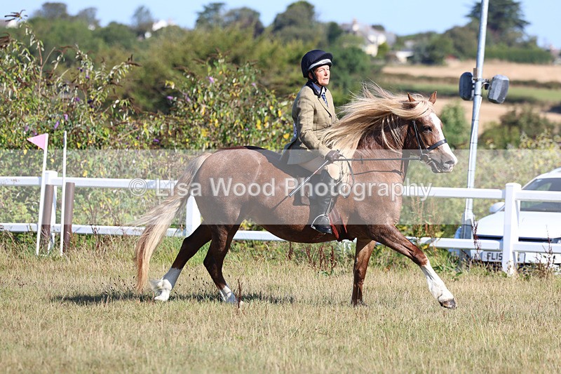 3E7A5437 - Class 3: Working Hunter 70cm