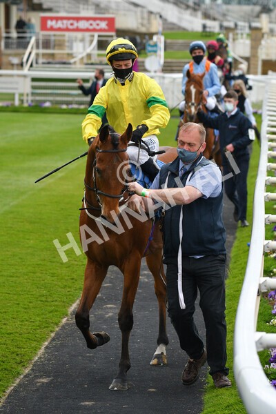 yr14052021r5-11 - Race 5 3.40pm The Jigsaw Sports Branding Handicap