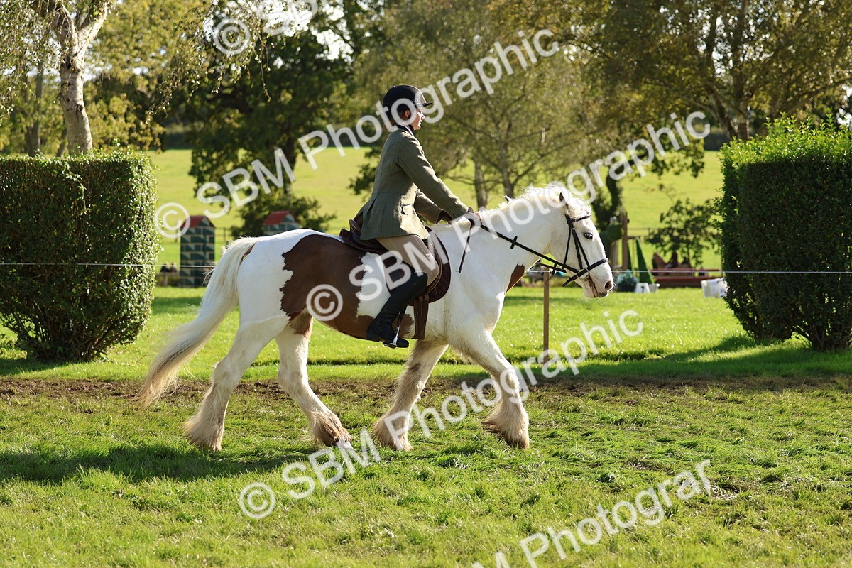 SBM_52380 - S13 - Pony Club Pony