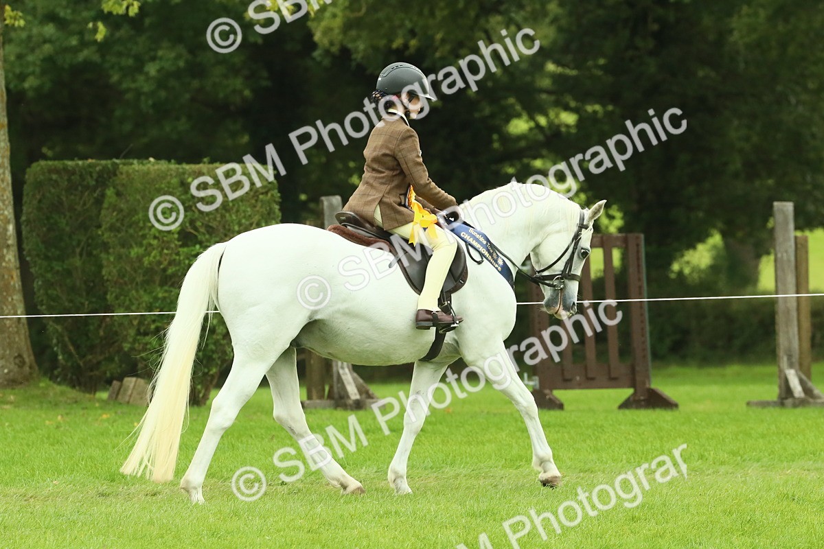 SBM_75144 - Super Supreme Championship