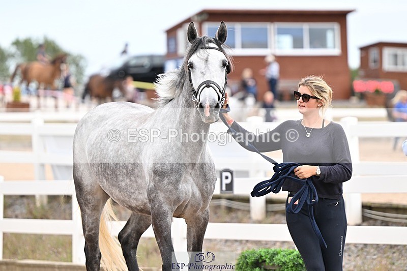 250716-155542-02292 - Trot Up 3.30 to 4.30