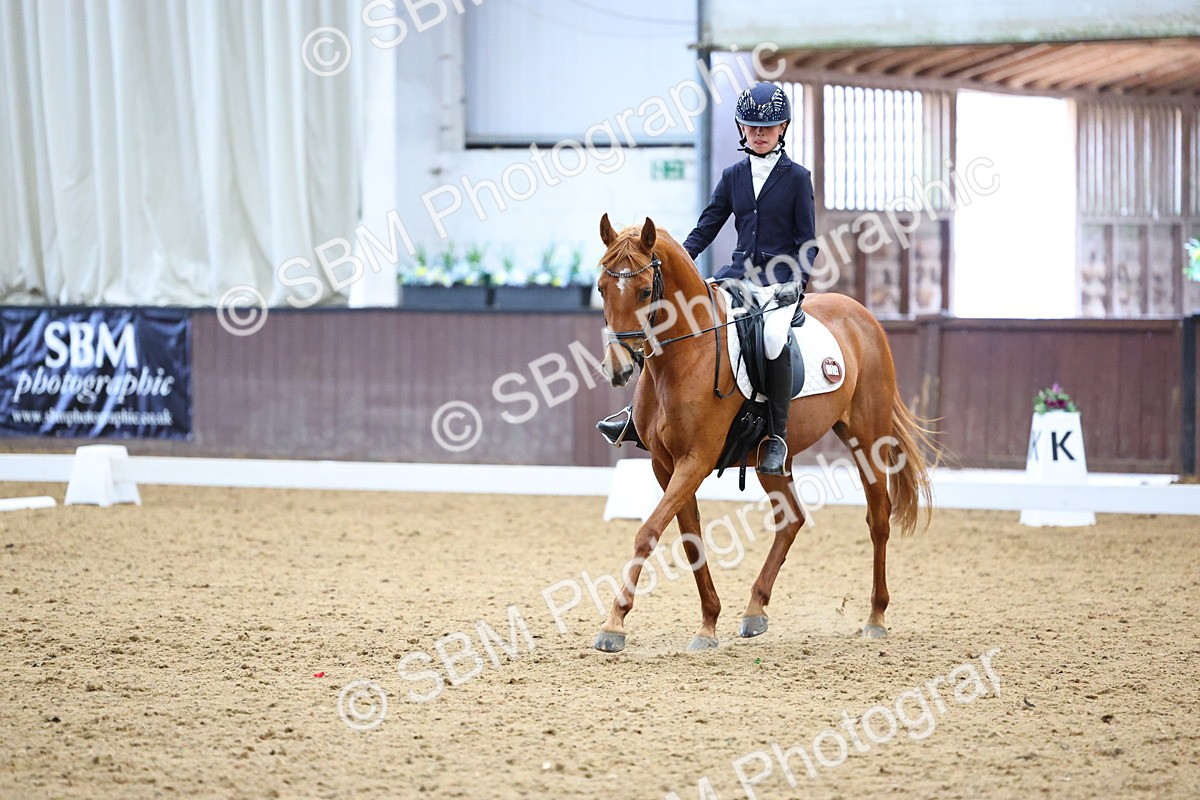 SBM_003970 - Novice 2
