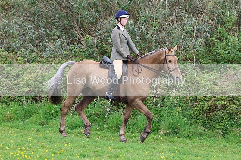 3E7A1411 - Class 8: Ridden Veteran Junoir and Senior