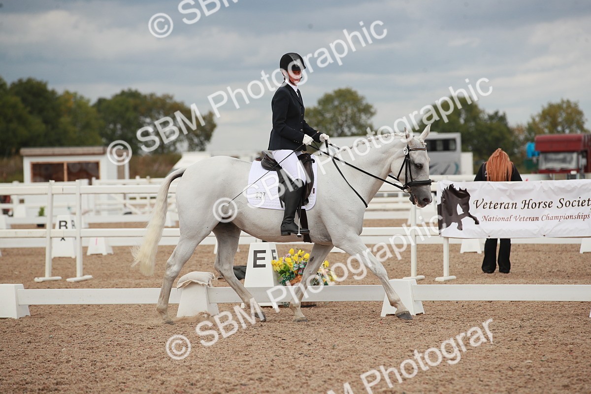 SBM_06029 - Class 32 - Novice 1