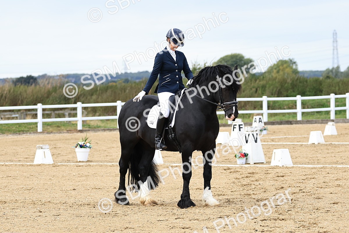 SBM_014261 - Class 6 - Elementary 53 - 15.44-17.04