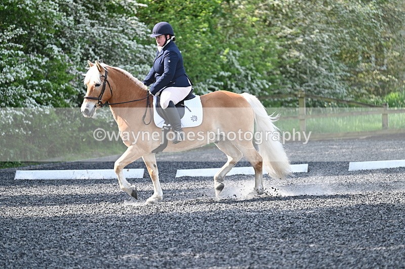 WJ7_7994 - Time 10:11 to 10:27