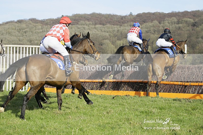 PtP 260222 689 - Kingston Blount Racing Club Point-to-Point 26/02/22