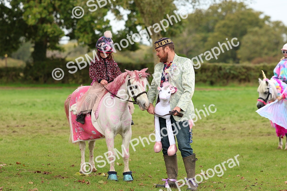 SBM_62216 - S37b - Best Unicorn