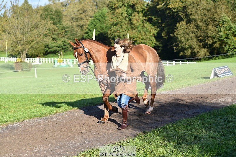 231022-095514-22111 - 446-WANDALUST-Lizzie.Luxton-TrotUp+SJ