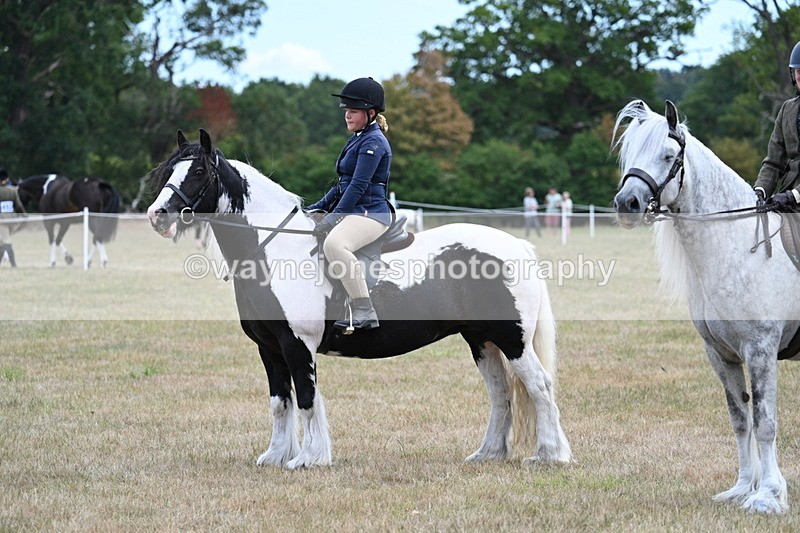 WJ7_5501 - Class 12 Ridden Cob