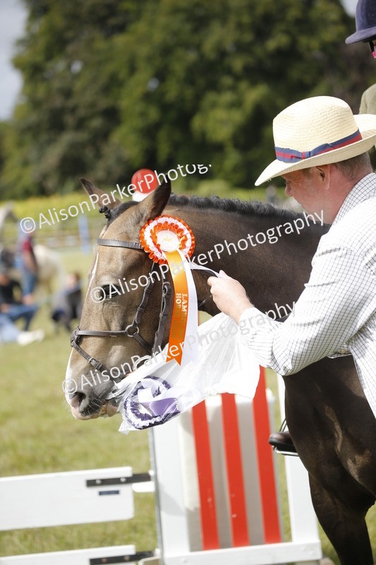 20250831-0803 - Class 2 - 60cm