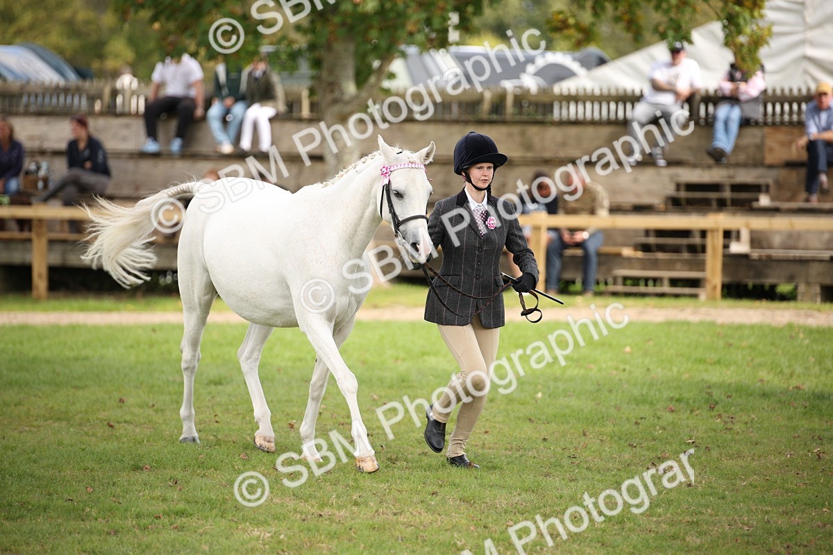 SBM_44503 - S24 - Young Veteran in hand