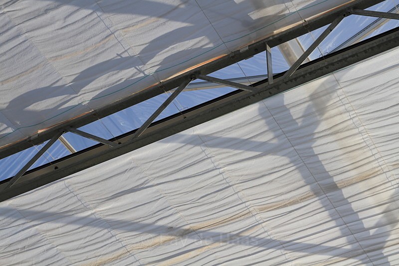 IMG_4603 - Manmade lines