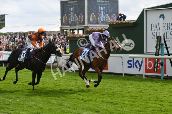 yr11062022r8-27 - Race 8 5.25pm Clean up with PPS Stakes