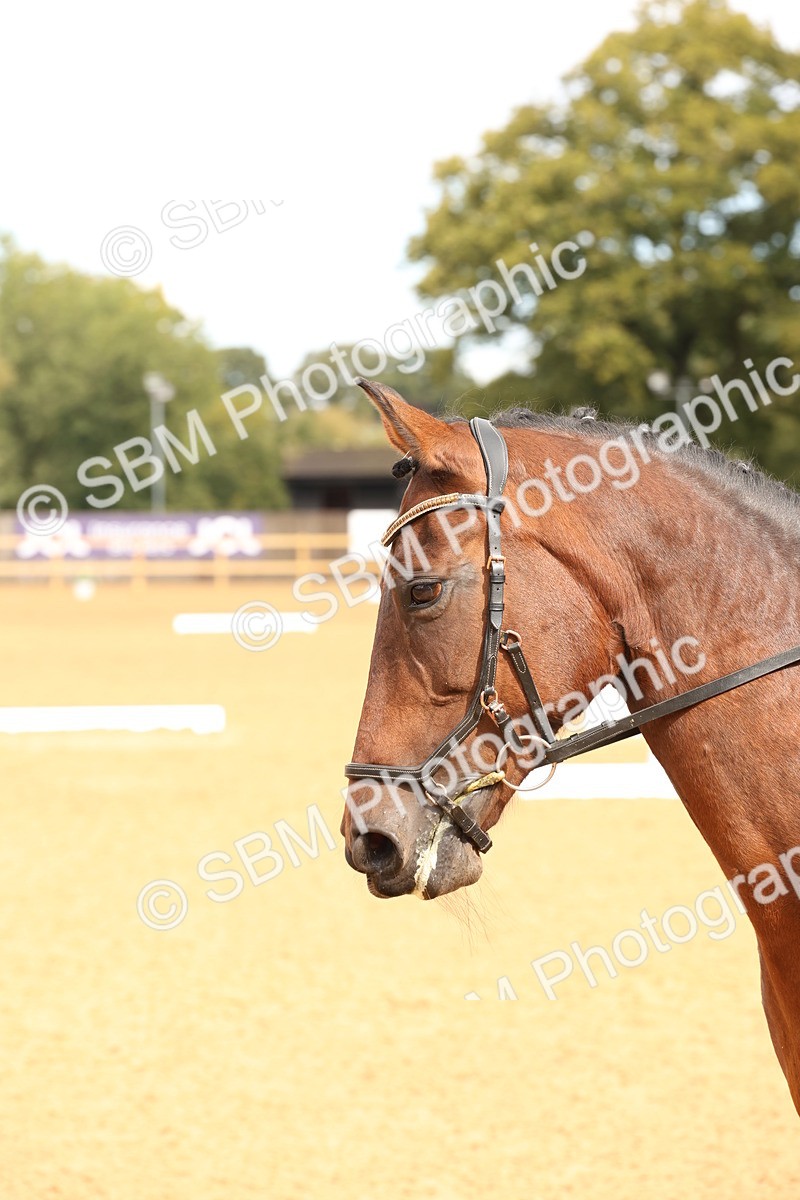 SBM_40641 - D6 - Small Tour Championship Intro 4