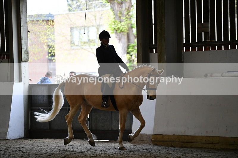 WJ5_6125 - Class 9 Ridden Veteran