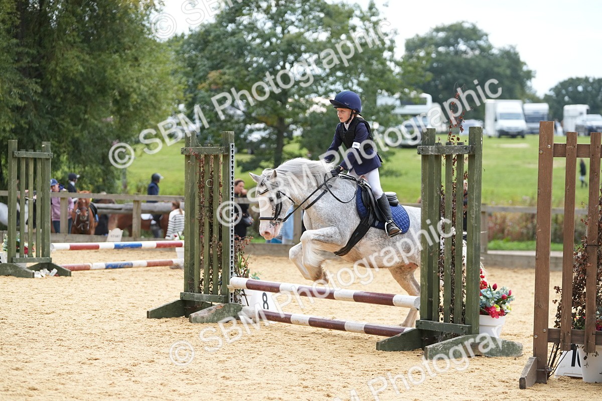 SBM_74727 - J4 - Mini Tour Junior Pony 45cm Championship