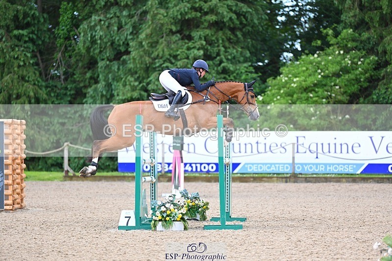 240526-162237-25407 - 233-SILVESTERS_FINESSE-Rosalind_Canter