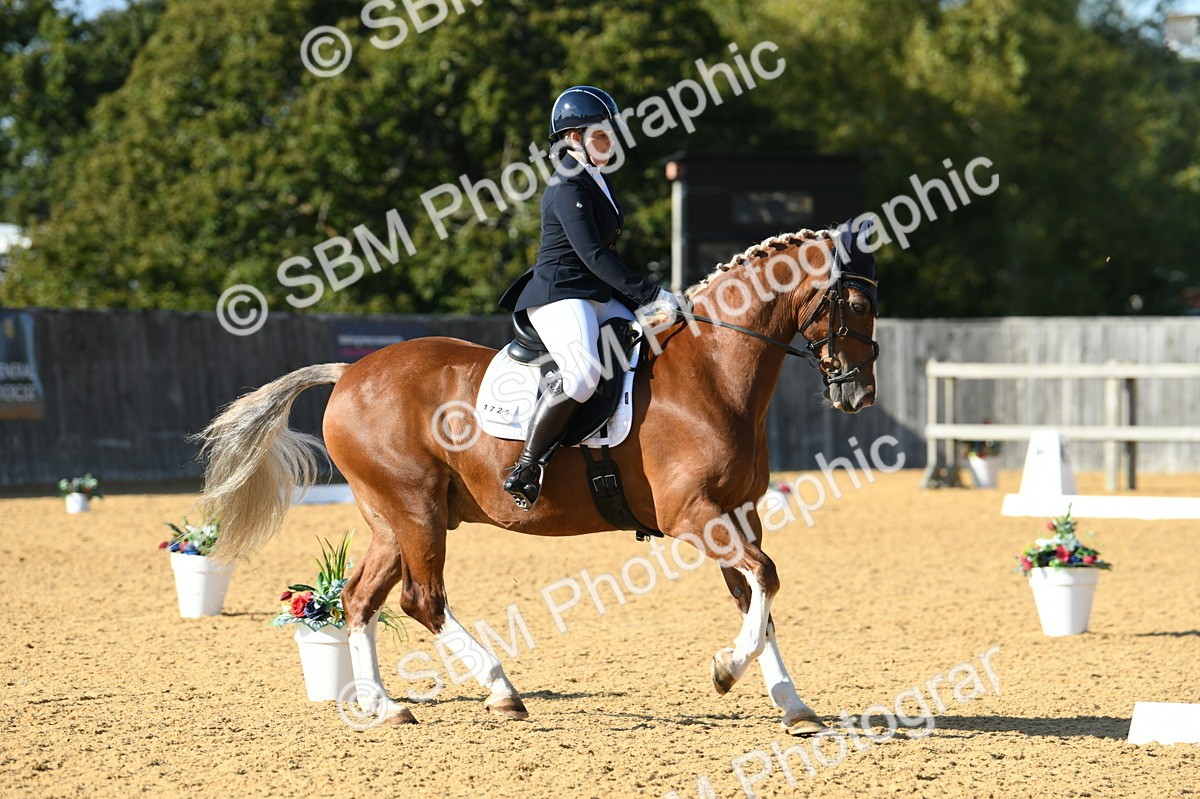 SBM_27307 - D16 - Small Tour Championship - Novice 28
