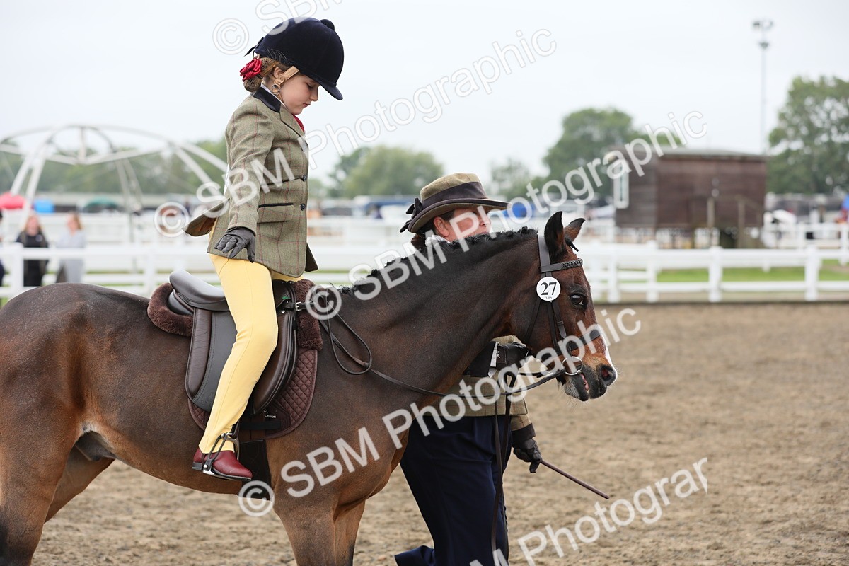 SBM_21854 - Class 806 - Young ridder 10 Yr & Under