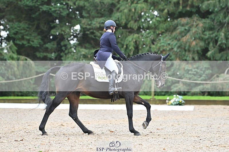 231019-130634-03285 - 121-KNOCKADERRY.MISTY.BAT-Harriet.Dickin-DR