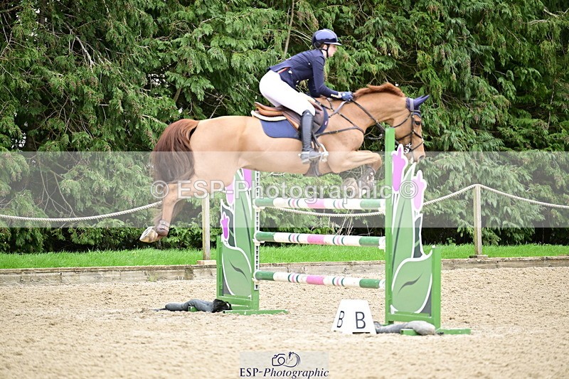 260214A-164038-01481 - 6 Foxhunter and 1m 20 Open