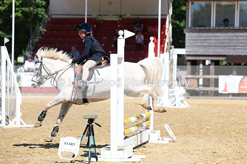 3E7A2348 - Class 4/5: 60cm Open Teams and Individuals