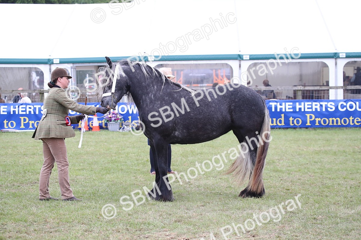 SBM_09855 - Ch 50 - Price Family Supreme In Hand