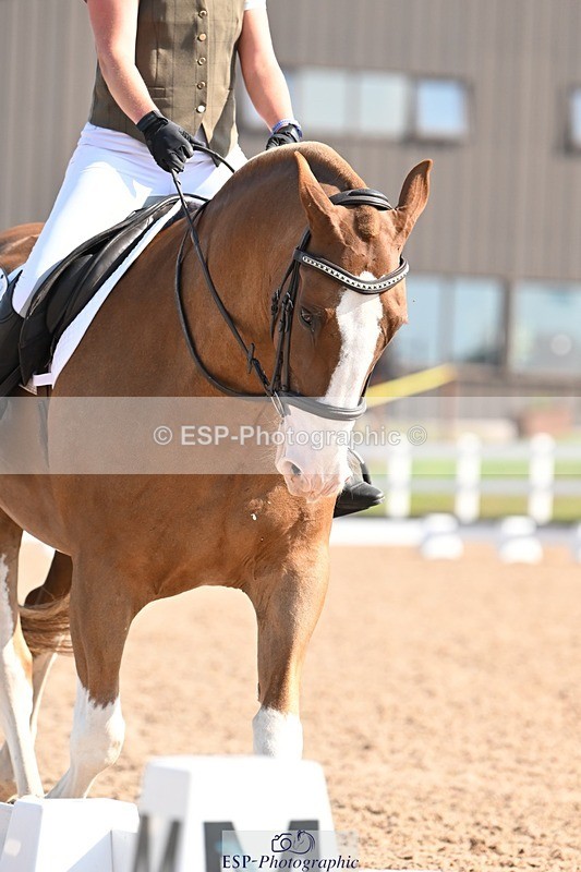 250816-101956-03348 - 048-Kirsty.ClackworthyStitch