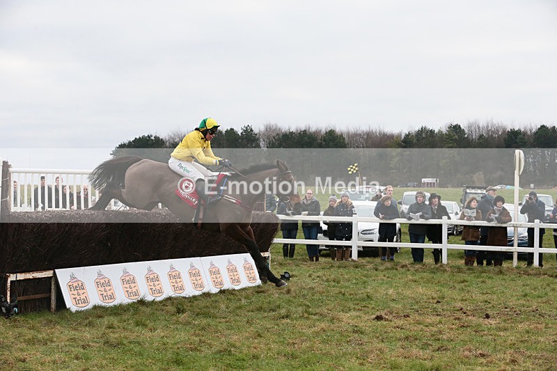 PtP 060119 136 - Larkhill Racing Club - Point-to-Point- 06/01/2019