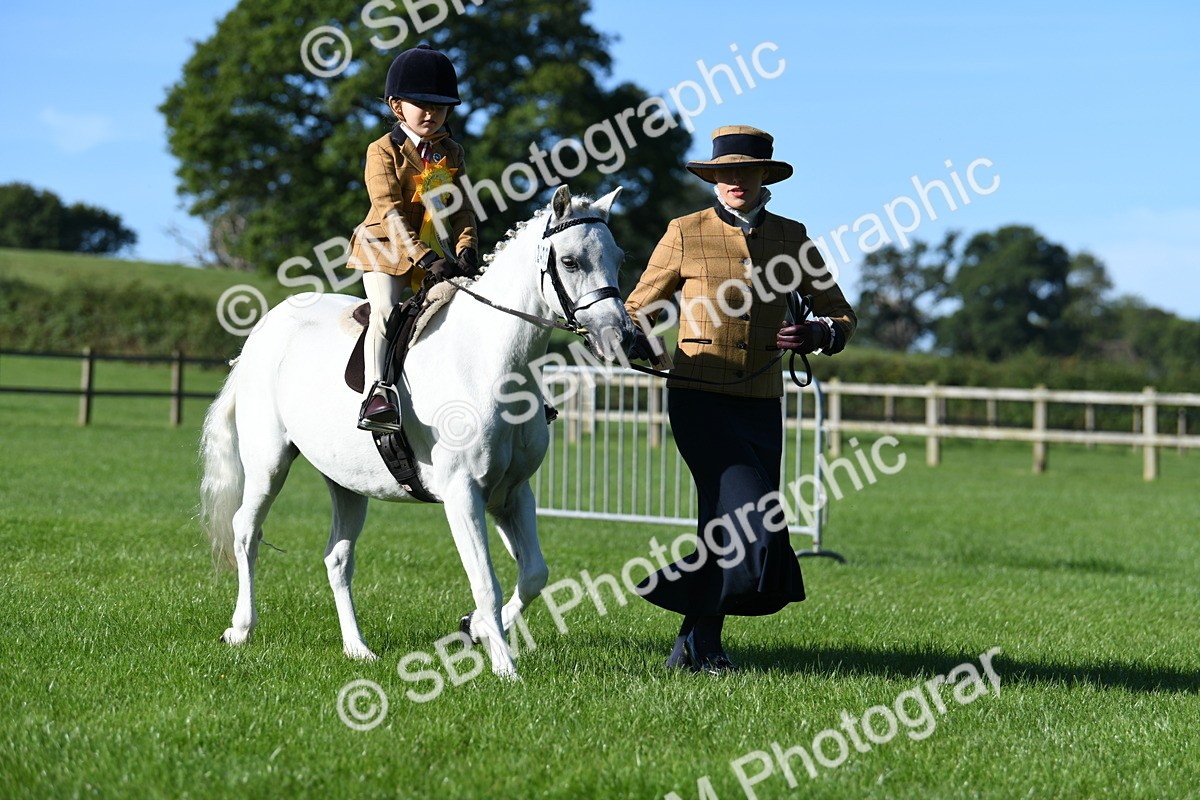 SBM_35510 - S17 - Condition & Turnout - Lead Rein
