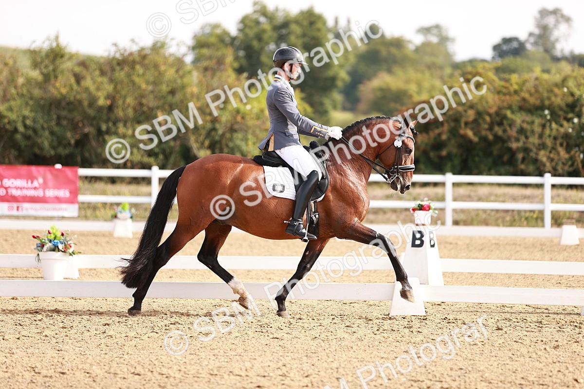 SBM_016964 - Class 10 - Medium 6