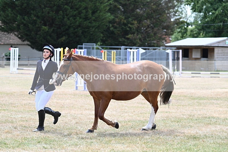 WJ7_1972 - Class 4a Prettiest Mare 14.2hh and over hand