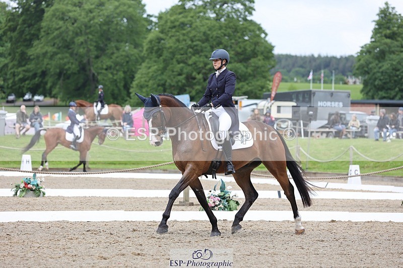 240523-104147-03374 - 214-DSH_GOLDEN_EYE-Lucinda_Mesquita