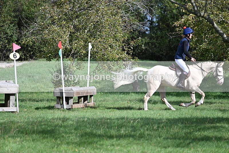 WJ7_8571 - 60cm Pairs