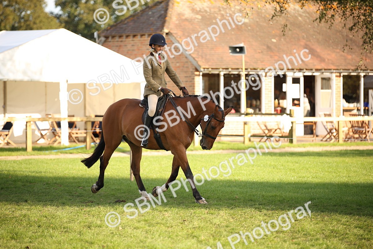 SBM_54388 - S27 - Mature Veteran - Ridden