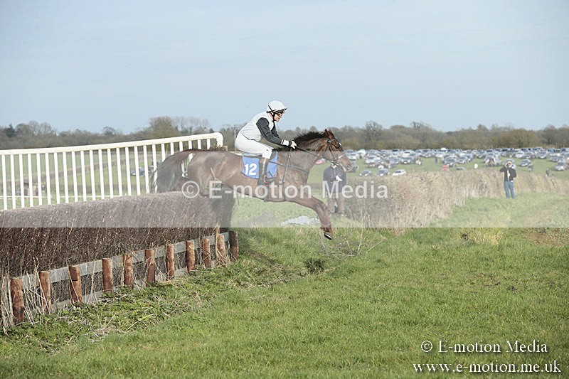 PtP 230319 490 - VWH Hunt Siddington Point-to-Point Racing 23/03/19