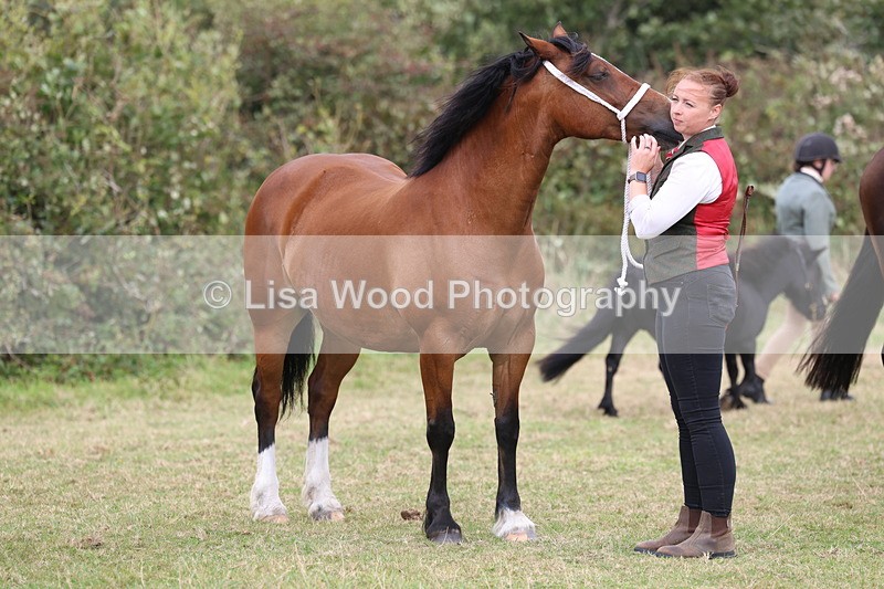 3E7A4646 - Class 16: Best Grass Kept