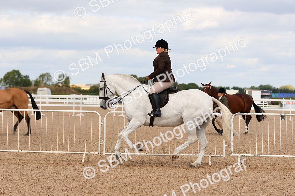 SBM_15506 - Class 214 - Ridden Show Cob