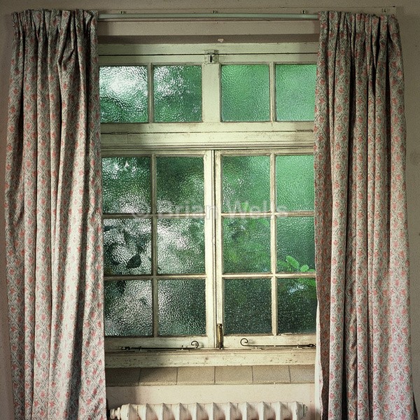 Window With Trees Outside, Great Plumstead Hospital - Decor