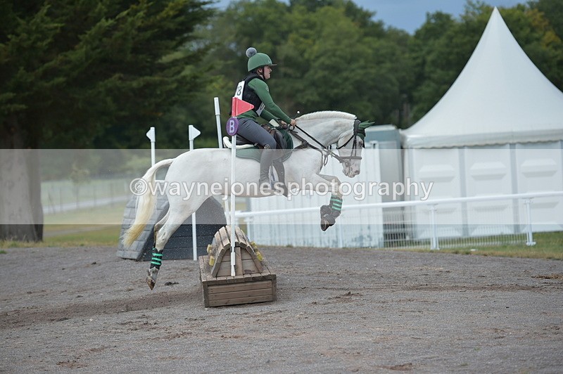 NGP_3786 - XC Time 12:16 to 12:25