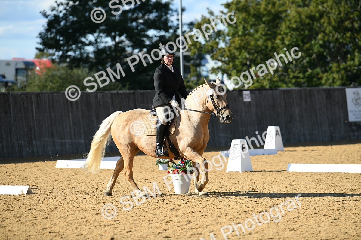 SBM_27248 - D16 - Small Tour Championship - Novice 28