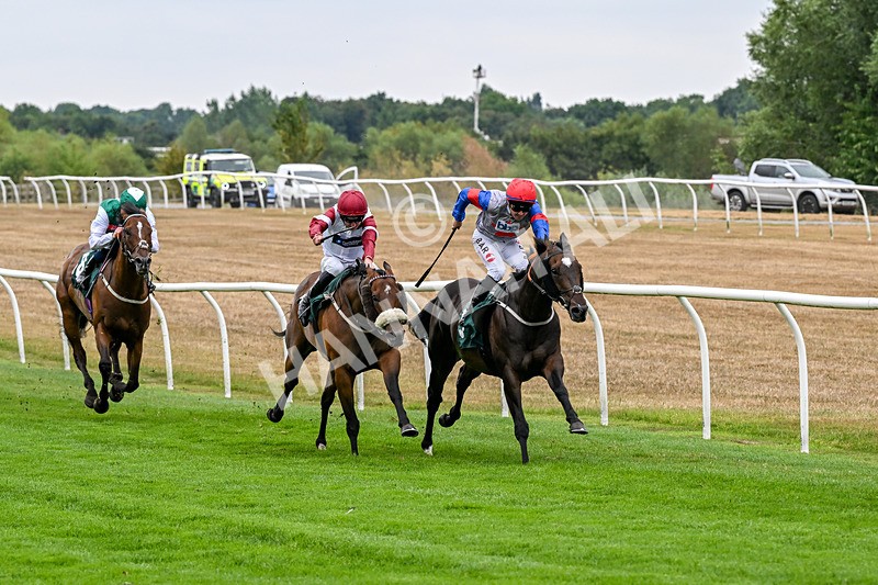 170826-Race 3-Quercus-9342 - Race 3 15.15pm Chapman Milestones Celebration, Thank You NHS Handicap