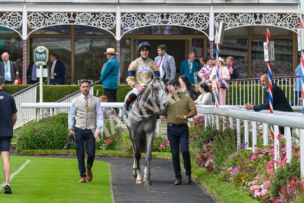 270724-Race 4-Greydreambeliever-7315 - Race 4 4.00pm Sky Bet Club EBF Fillies' Novice Stakes