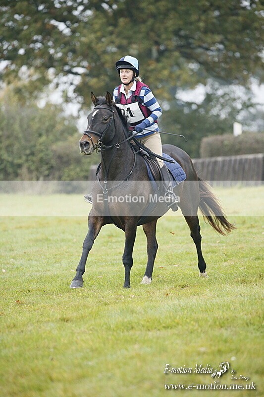 WWHT 181020 WWHT 181020 453 - WWEC Open Novice (0.80m) 18/10/20